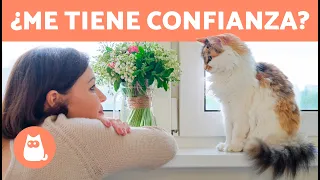 7 SEÑALES de que tu GATO CONFÍA en TI😻