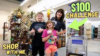 $100 Shopping CHALLENGE | Antique Mall Shop With Me | Reselling