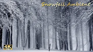 Snowfall Ambient | Winter Sleep No Music | Forest Snowfall 4K