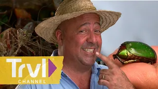 Eating Raw, Dancing Shrimp in Thailand | Bizarre Foods with Andrew Zimmern | Travel Channel