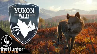 Yukon Valley Reserve | ALL Story Missions | theHunter Call Of The Wild