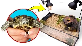 Ein neues selbst gebautes Zuhause für unsere zwei süßen Schildkröten