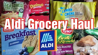 HUGE ALDI GROCERY HAUL! PRICES AND MEAL PLAN!