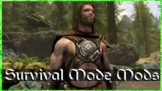 These 2 Mods Make Skyrim Survival Mode Much Better