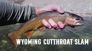 Wyoming Cutthroat Slam