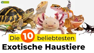 Die 10 beliebtesten exotischen Haustiere