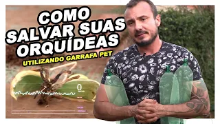 Como SALVAR suas ORQUÍDEAS utilizando Garrafa Pet