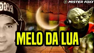 Melô Da Lua - Reggae Remix | Dj Mister Foxx