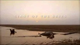 Benjamin Bartlett - Giant of the Skies