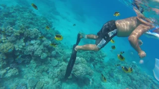 Sharm El Sheikh, Naama Bay, Sonesta Beach Resort Snorkeling Part 1