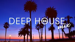 Avicii, Calvin Harris, Kygo, Alok, Robin Schulz, David Guetta, Gryffin - Summer Vibes Mix #506