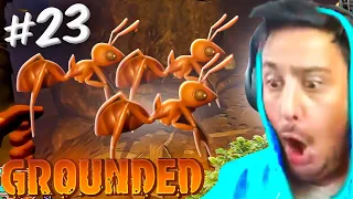 ROBAMOS NIÑ0S HORMIGA Y SUS MADRES NOS PERSIGUEN! GROUNDED #23