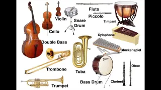 Question 3 - Instruments of the Orchestra Quiz