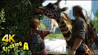 [4K] The Last Of Us | Giraffe Scene