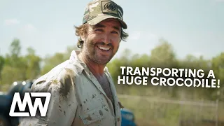 How We Transport a HUGE CROCODILE to a New Home! | Full Episode | Matt Wright