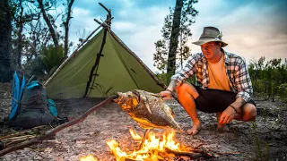 Solo Survival Bushcraft Camp || NO FOOD/ NO WATER