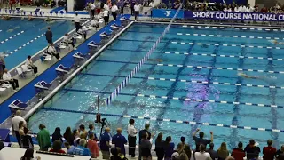 Women's 1000 Yard Freestyle | 2019 YMCA Short Course National Championship