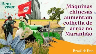 Máquinas chinesas aumentam colheita de arroz no Maranhão | Bem Viver