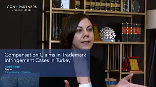 Compensation Claims in Trademark Infringement Cases in Turkey