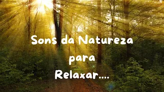 SONS DA NATUREZA PARA RELAXAR / Meditação