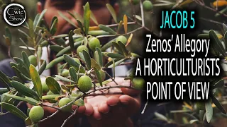 Jacob 5 Zenos' Allegory of The Olive Trees - Horticulturists Perspective