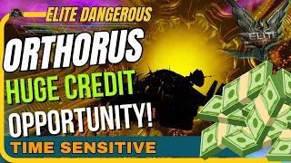 Big Money Orthorus Hunting! - Time Sensitive // Elite Dangerous