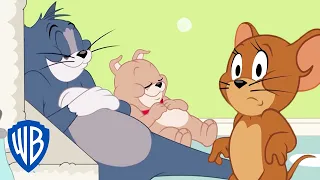 Tom und Jerry auf Deutsch | Tyke vergisst, dass er ein Hund ist | WB Kids