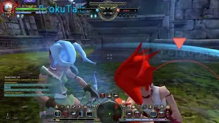 [Dragon Nest] Sharpshooter vs Swordsman