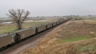 BNSF Empty coal train on the Brush Subdivision