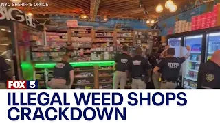 'Padlock to Protect': NYC cracking down on illegal weed shops