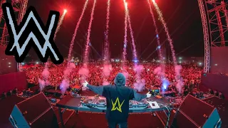 Alan Walker Live Sunburn Delhi 2022