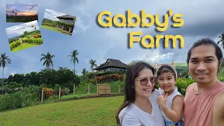 Gabby's Farm Escapade