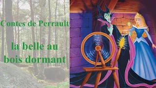 Contes de Perrault : la belle au bois dormant (3-9)