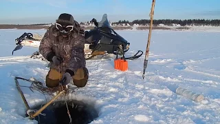 Отчёт с рыбалки 07.11.2017