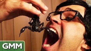 Eating a Scorpion: Bug War Challenge