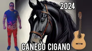 CANECO CIGANO 2024