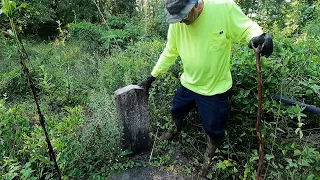 EXPLORING MEGA OVERGROWN CEMETERY FOUND IN THE MIDDLE OF THE CITY