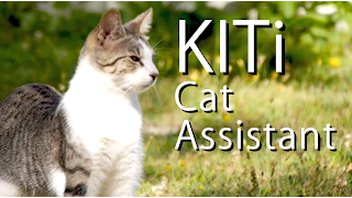 KITi The Virtual Cat Assistant - PARODY