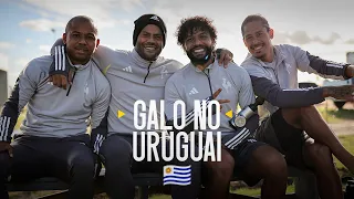 O DIA DO GALO NO URUGUAI | CAM X PEÑAROL PELA LIBERTADORES!