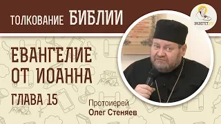 Евангелие от Иоанна. Глава 15. Протоиерей Олег Стеняев. Новый Завет