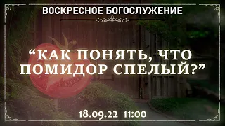 ВОСКРЕСНОЕ БОГОСЛУЖЕНИЕ | "КАК ПОНЯТЬ, ЧТО ПОМИДОР СПЕЛЫЙ" | 18.09.2022 11:00