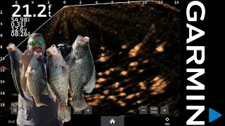 Livescoping in a massive school of crappie and catching some giants! #garmin #livescope