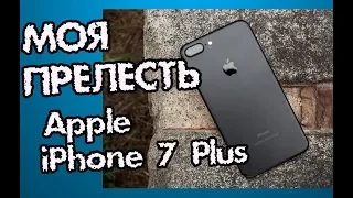 Apple iPhone 7 Plus на халяву. Как бедному студенту заполучить  Apple iPhone