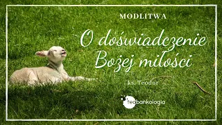 Modlitwa o doświadczenie Bożej miłości. Prowadzenie: ks.Teodor Sawielewicz