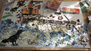 Winter Mosaic Timelapse