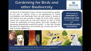 Conservation Conversations: Duncan Butchart - Gardening for Birds & Biodiversity (24Nov20)