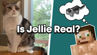 Is JELLIE Real Or Does GOODTIMESWITHSCAR Imagine Her? - Limited Life SMP