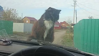 Сдаю металл по новому закону, сдача на родственика. 😡😡😡