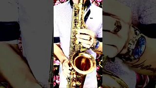 Ирина Аллегрова - Цветы без повода (SAX cover by OppositeMus)