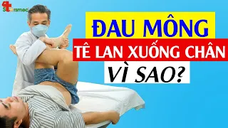 Đau mông rồi tê lan xuống chân - Nguyên nhân do đâu? | Y học Thể thao Starsmec